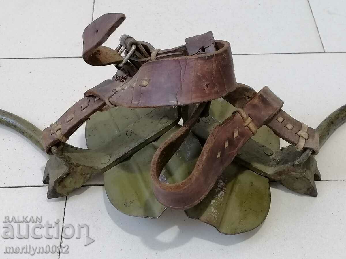 Delivery of Army gull-climbing cats from the telegraph platoon Delivery of Army gull-climbing cats from the telegraph platoon