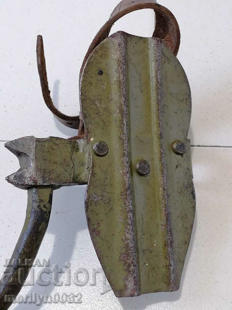 Army gull-climbing cats from the telegraph platoon - 5 Army gull-climbing cats from the telegraph platoon - 5