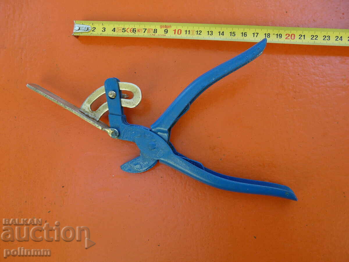 Bulgarian cypress with price 20.00 BGN | € 10.23