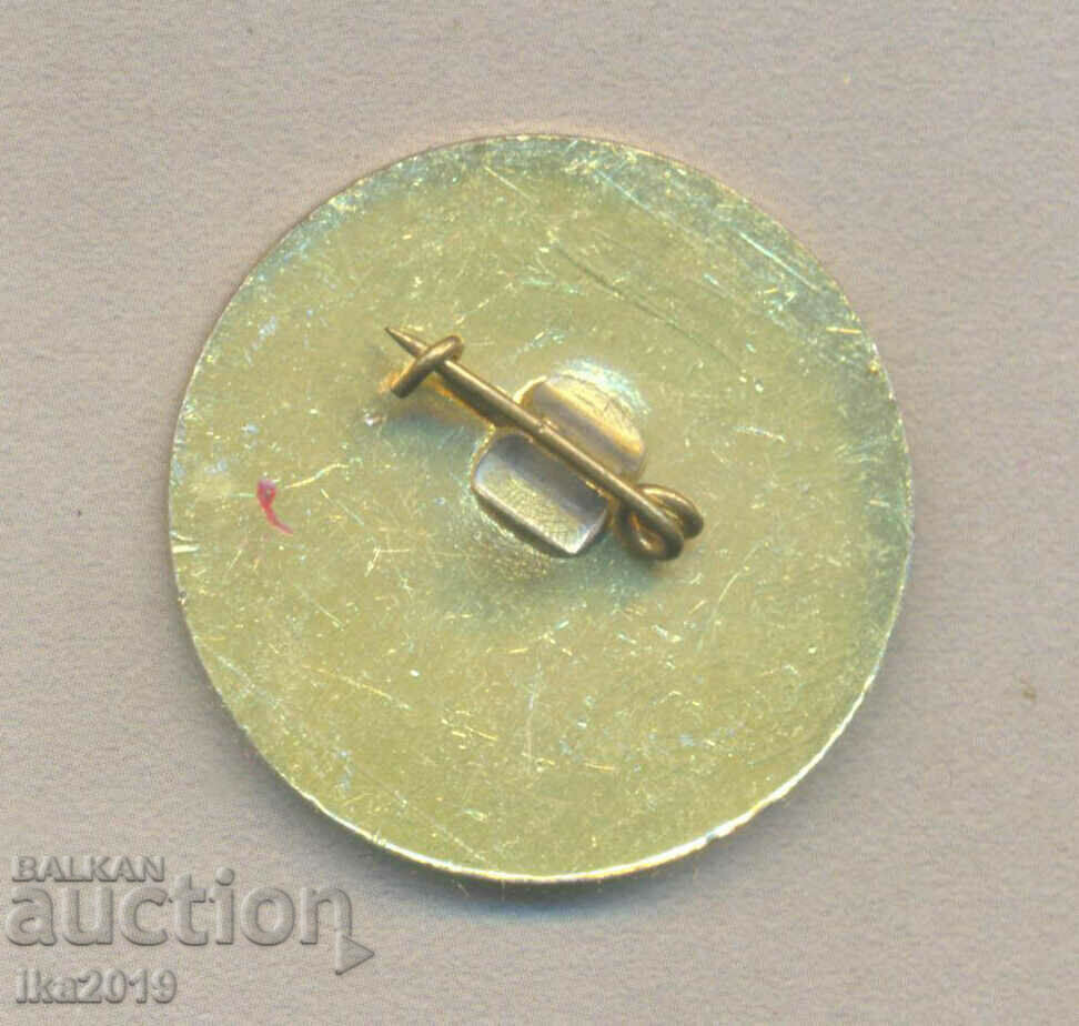 Rare award badge EXCELLENT TPO PHARMAHIM with price 3.00 BGN | € 1.53 Rare award badge EXCELLENT TPO PHARMAHIM with price 3.00 BGN | € 1.53