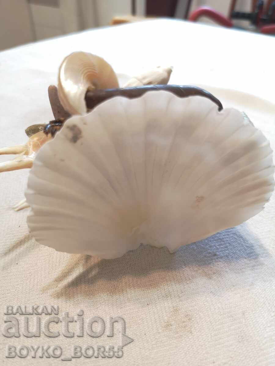 Auction Sea Crab with Crab and Other Marine Animals Auction Sea Crab with Crab and Other Marine Animals