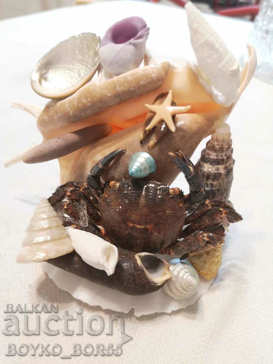 Sea Crab with Crab and Other Marine Animals