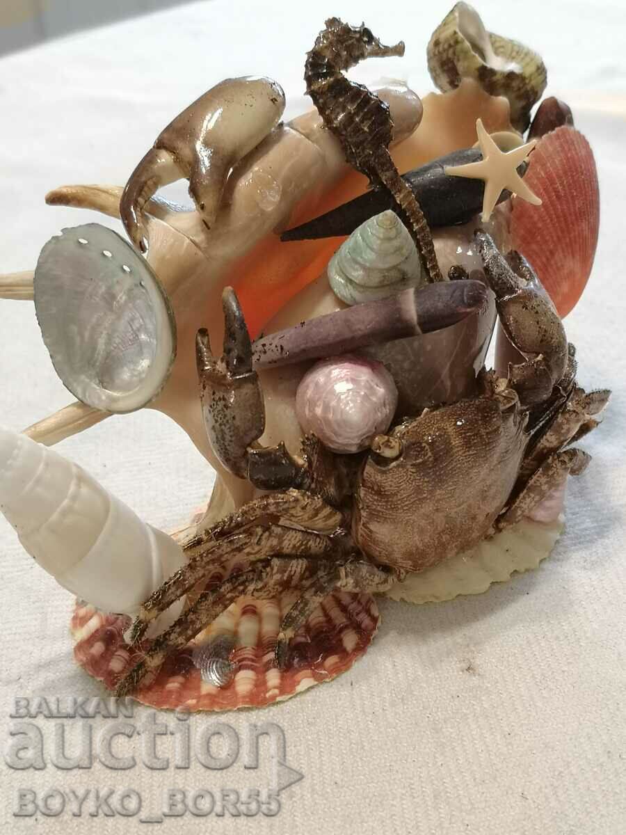 Sea Crab with Crab, Sea Horse and Other Sea with price 30.00 BGN | € 15.34