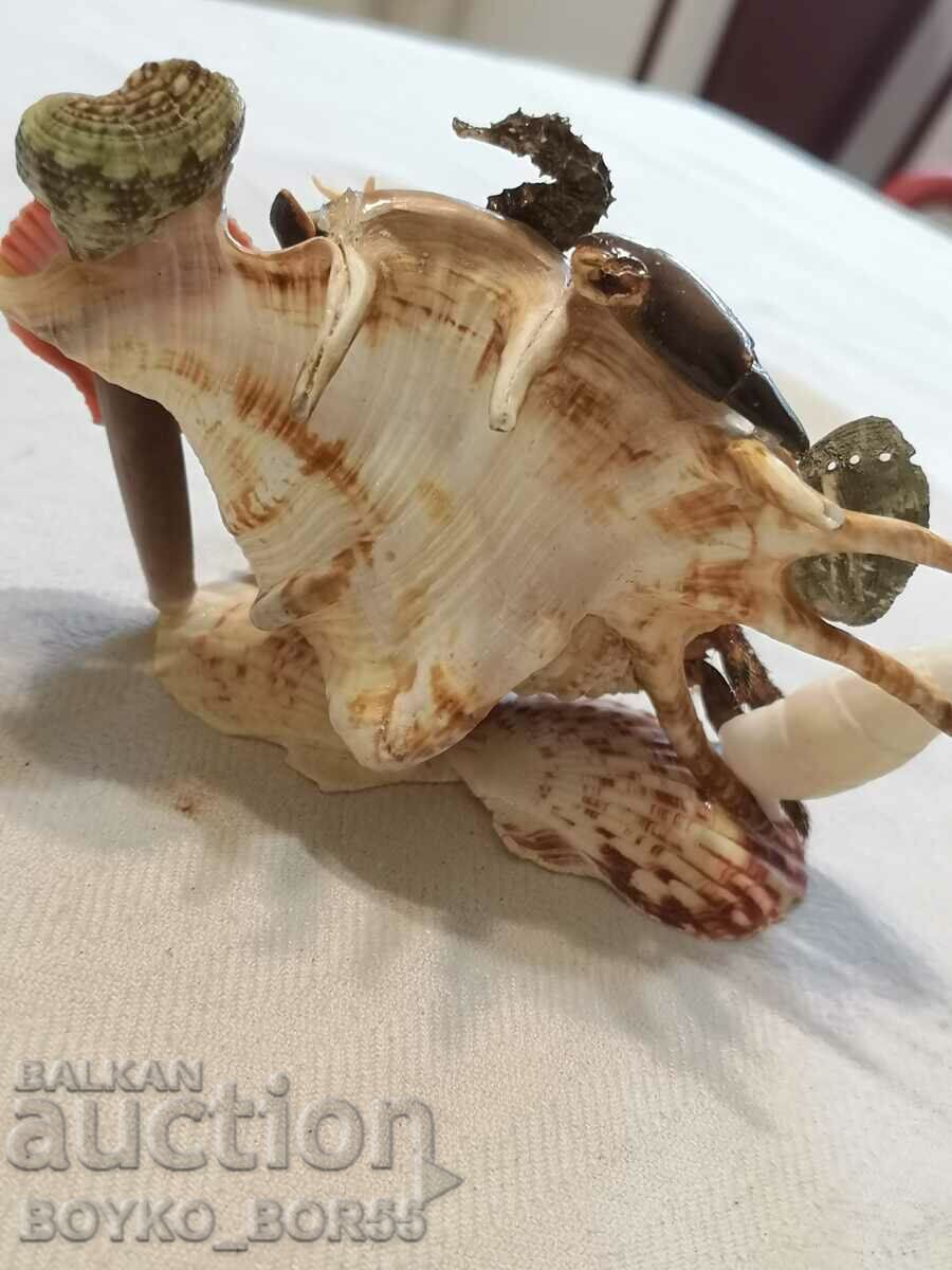 Auction  Sea Crab with Crab, Sea Horse and Other Sea