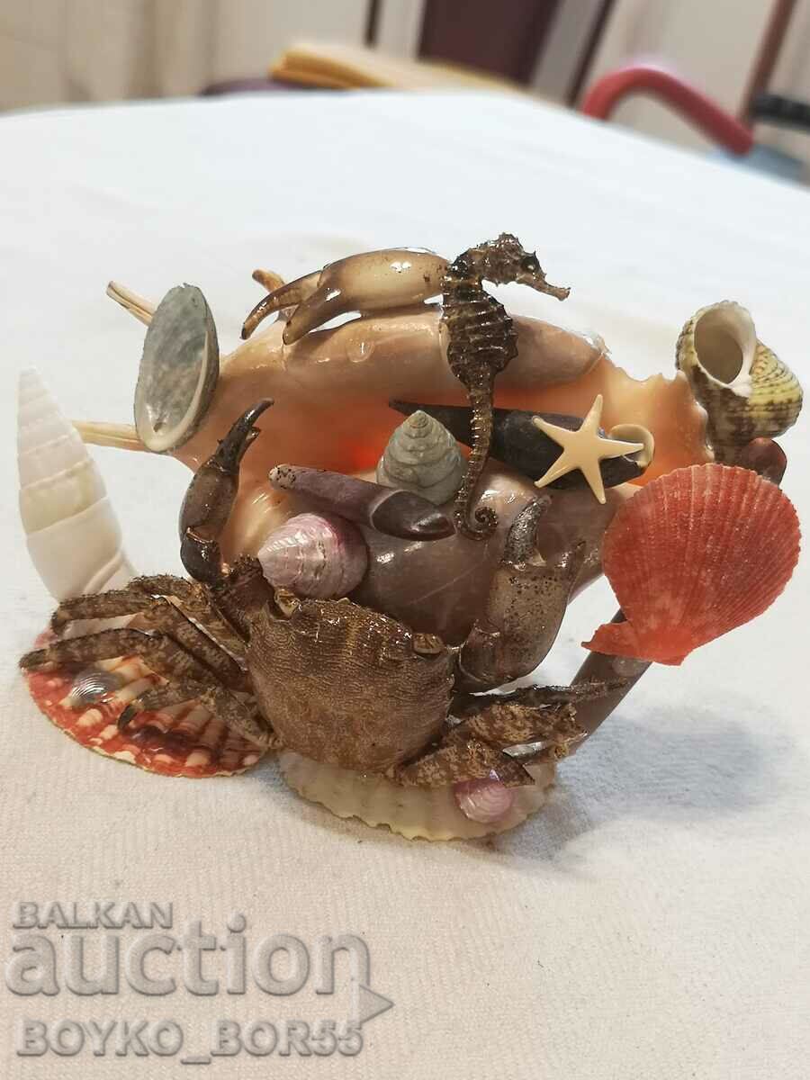 Sea Crab with Crab, Sea Horse and Other Sea