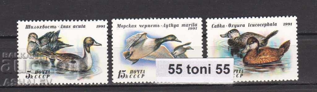 Русия (СССР)  1991  Фауна. Птици- Патици   3 м.- нови