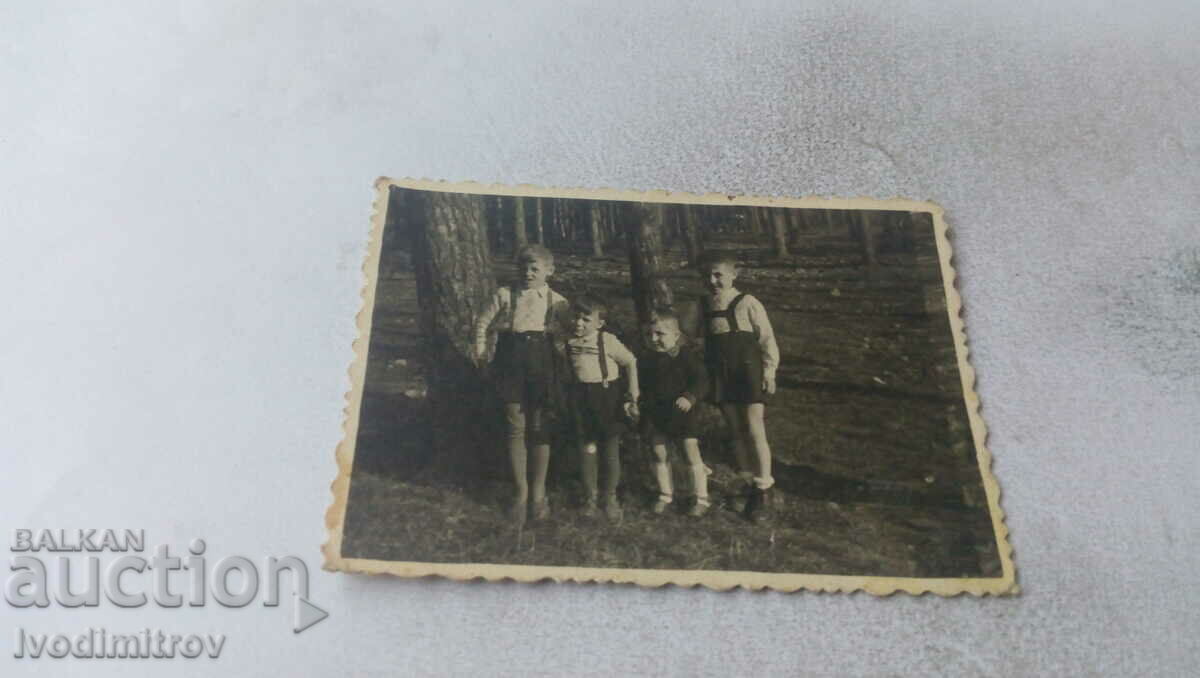 Снимка Четири малки момчета в гората