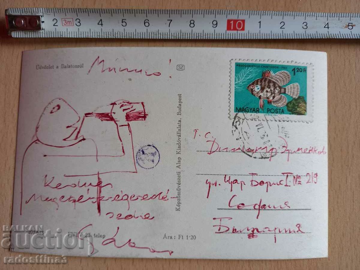 Postcard Hungary Balaton Postcard Hungary Balaton with price 0.99 BGN | € 0.51 Postcard Hungary Balaton Postcard Hungary Balaton with price 0.99 BGN | € 0.51