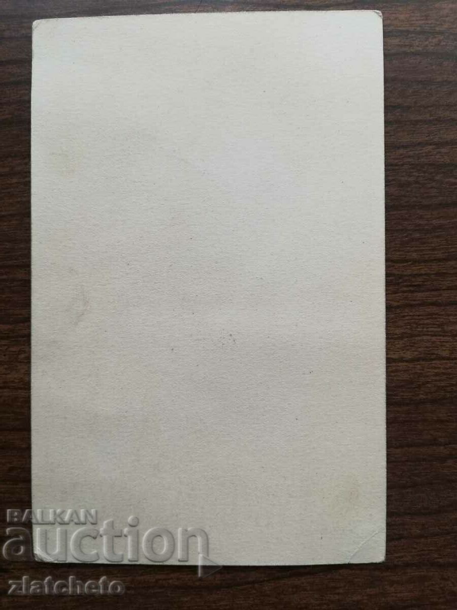 Auction Promotional Postcard - Metro Goldwyn Mayer RRR Auction Promotional Postcard - Metro Goldwyn Mayer RRR