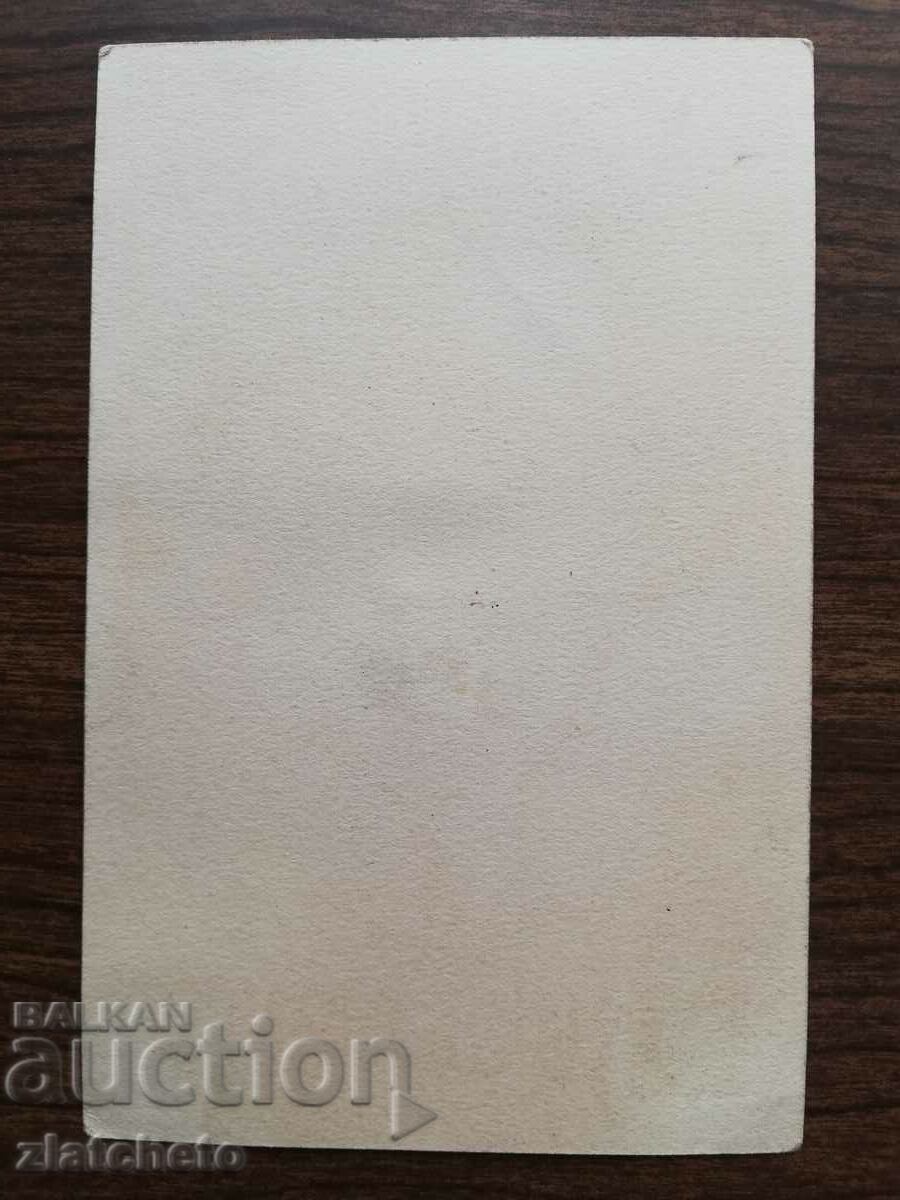 Auction Promotional Postcard - Metro Goldwyn Mayer RRR Auction Promotional Postcard - Metro Goldwyn Mayer RRR