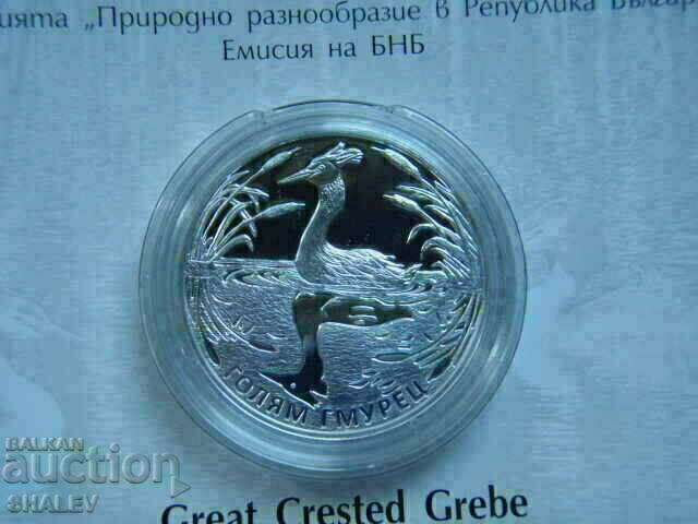 BGN 10, 2022 "Big Diver" - Proof - 7 BGN 10, 2022 "Big Diver" - Proof - 7