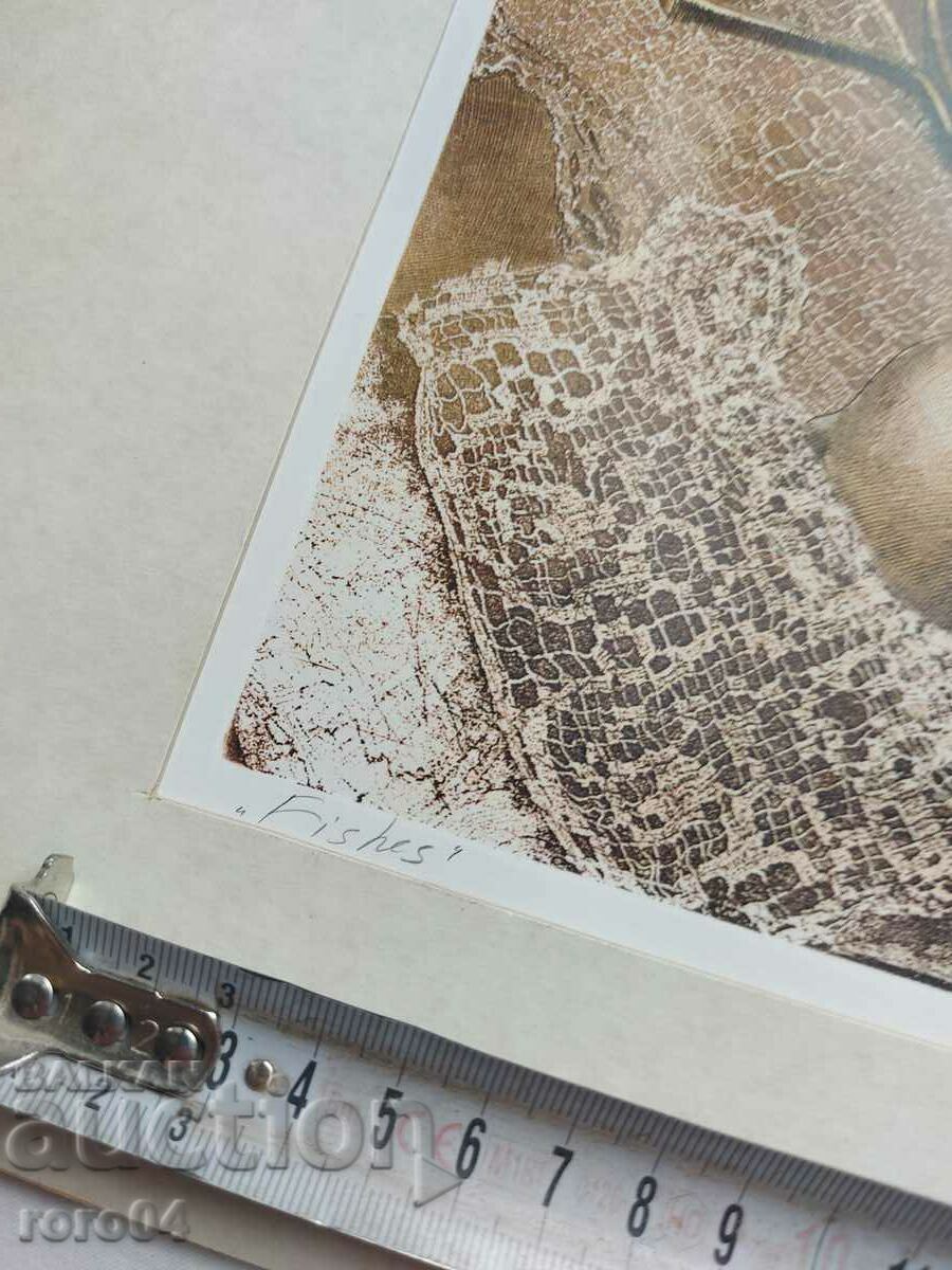 DIMITAR POPGEORGIEV - ΙΧΘΥΣ - 5