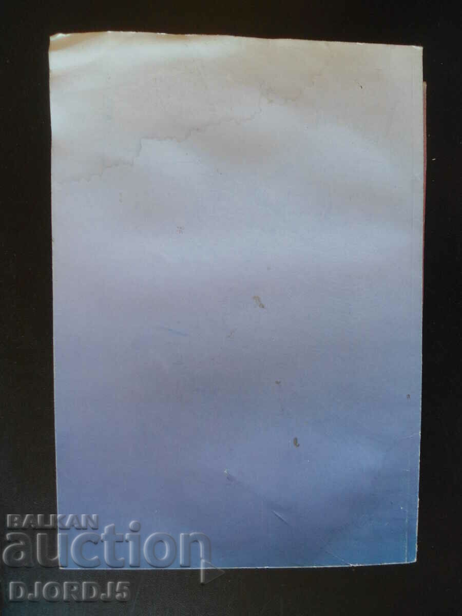 Auction  All-day organization of the learning process