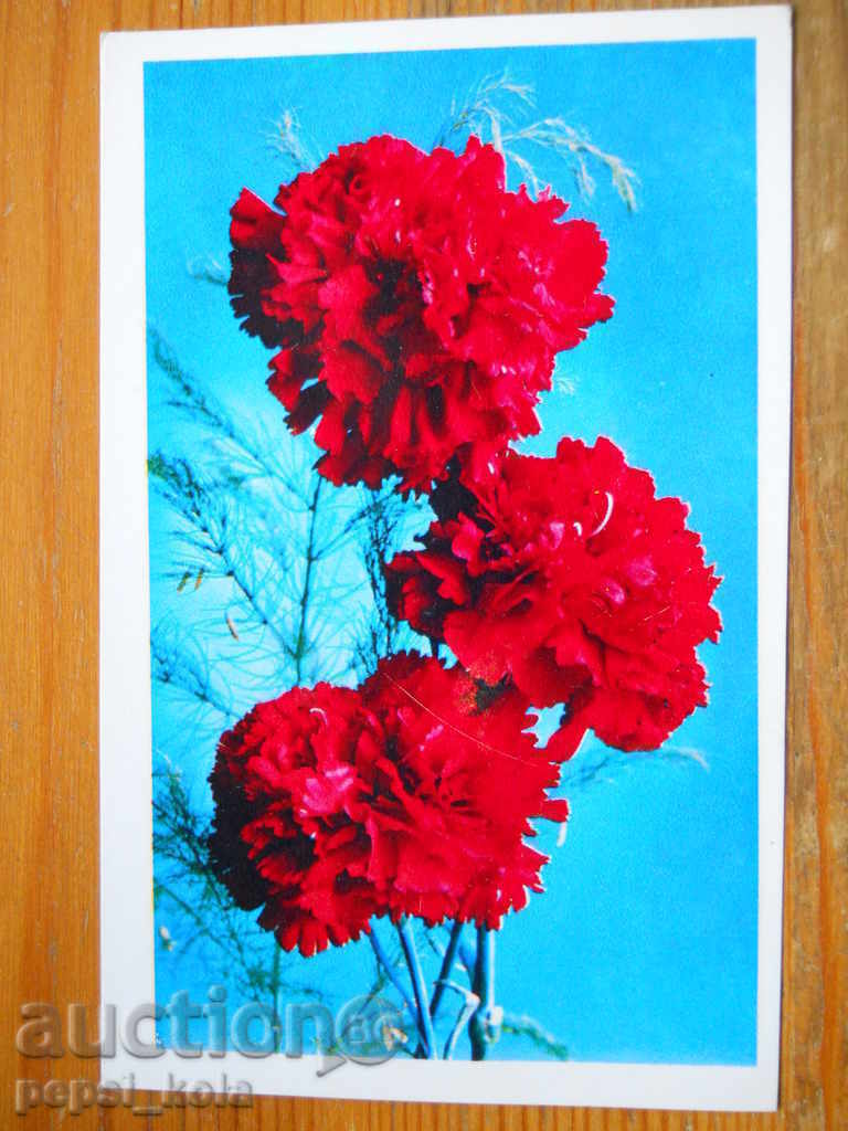 greeting card - greeting card - USSR - 1976