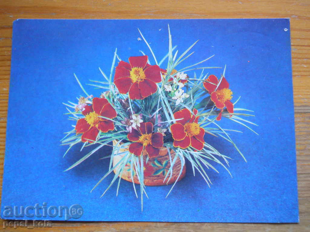 поздравителна картичка - честитка - СССР - 1981 г
