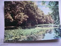 Carte poștală veche râul Ropotamo