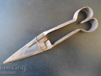 Old scissors for shearing sheep