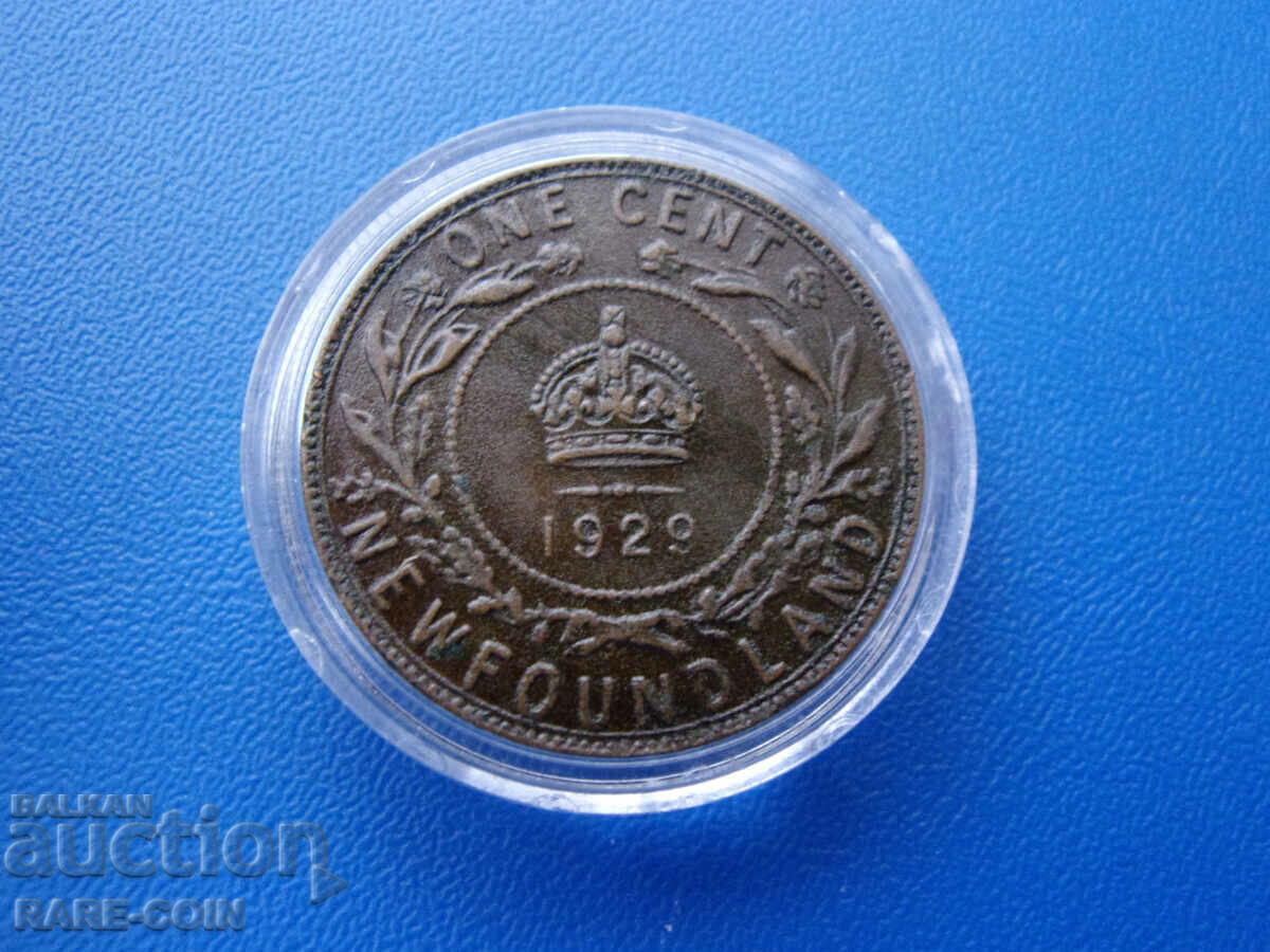 RS(44) Newfoundland-1 cent 1929-rar și de calitate.BZC cu preț € 15.34 | 30.00 BGN