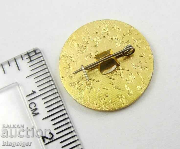 Auction  Soccer badge-Torpedo Arzamas-Russia