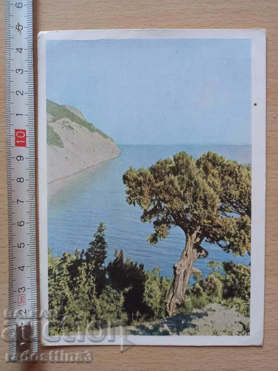 Картичка Русия Черноморско крайбрежие Postcard Russia Black