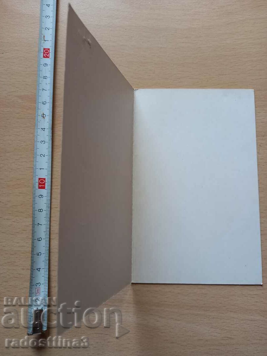 Auction  Card Leningrad Postcard Leningrad