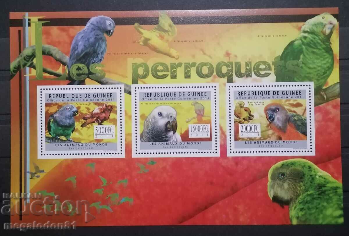 Γουινέα - παπαγάλοι