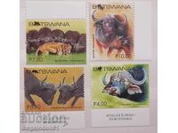 Botswana - fauna, bivol african