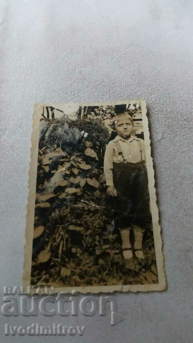 Photo Little boy in the garden