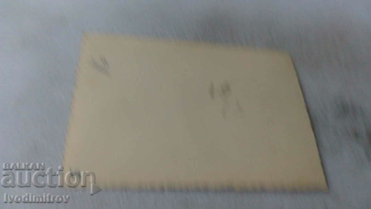 Photo Men and women on an excursion with price 1.15 BGN | € 0.59 Photo Men and women on an excursion with price 1.15 BGN | € 0.59