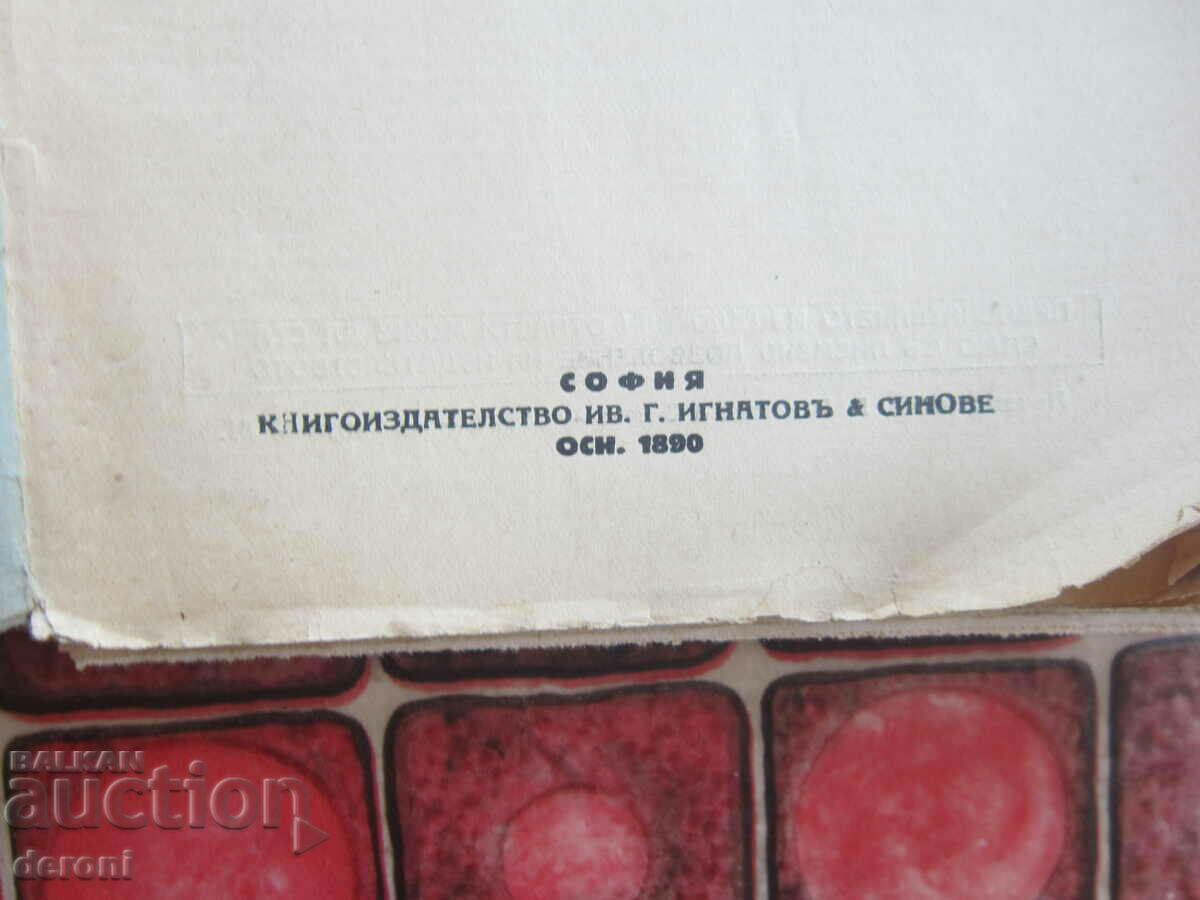 Auction Old book 1890 Auction Old book 1890