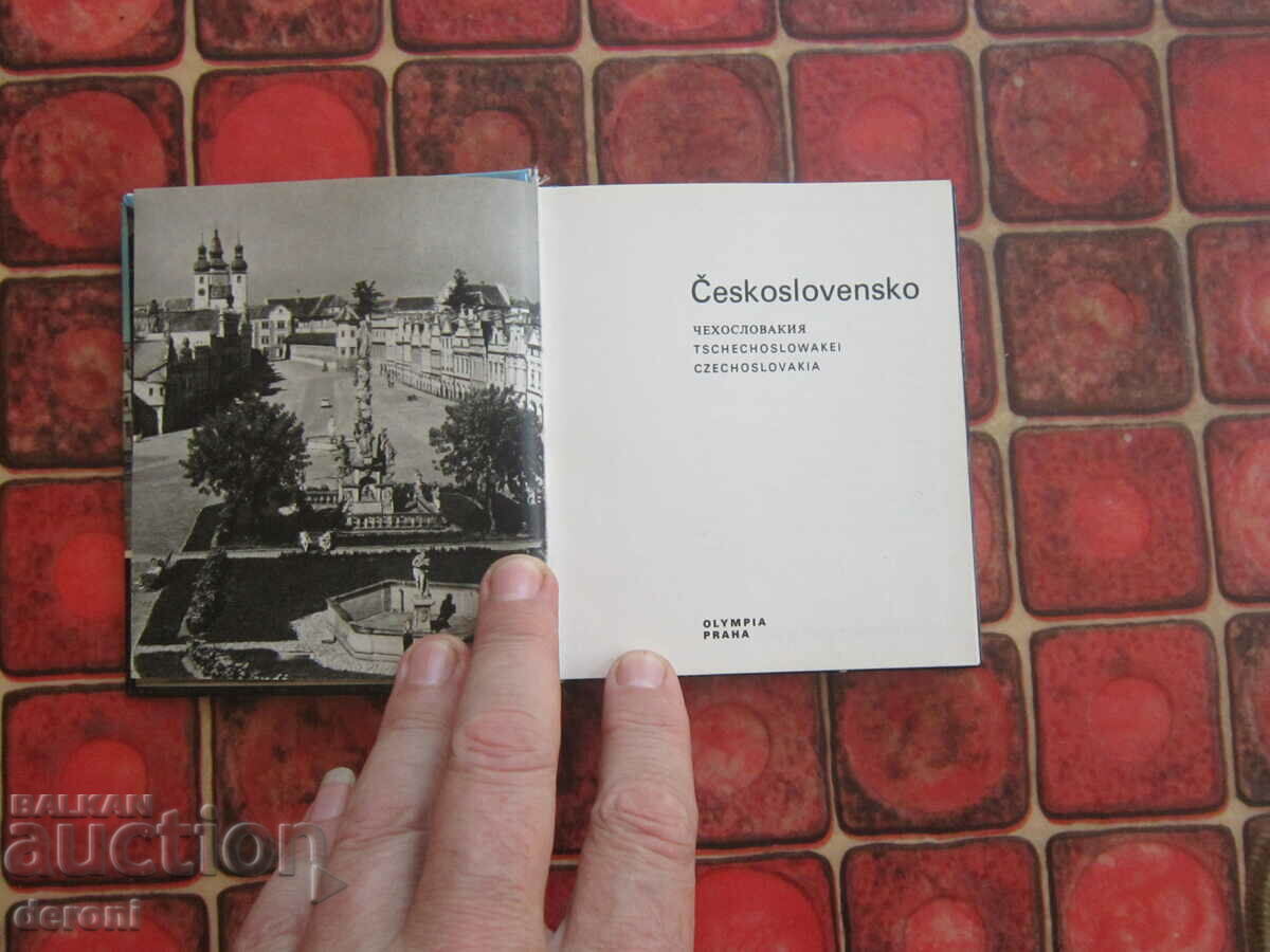 Livrarea Album de carte cehă