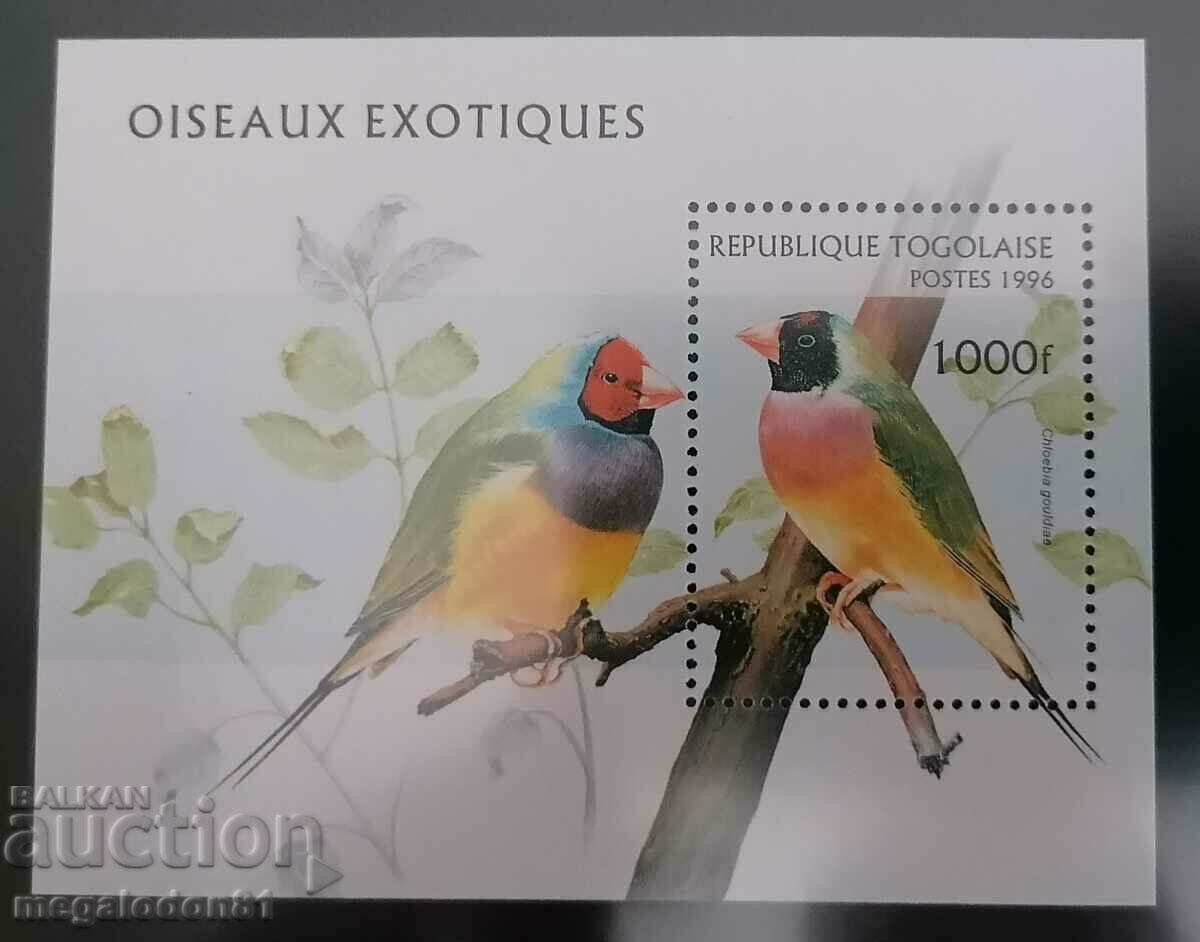 Togo - songbirds