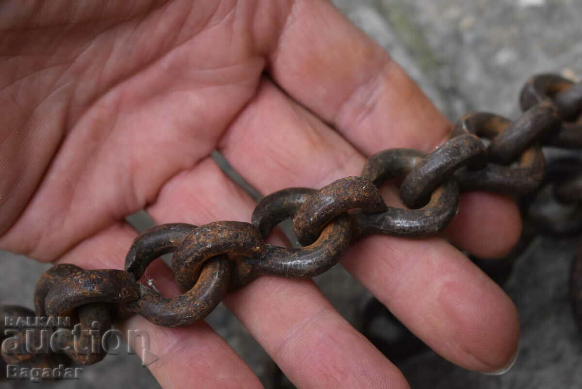 Delivery of Palanza scale 100 kg