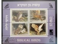 Ισραήλ - πανίδα, αρπακτικά πουλιά - κουκουβάγιες