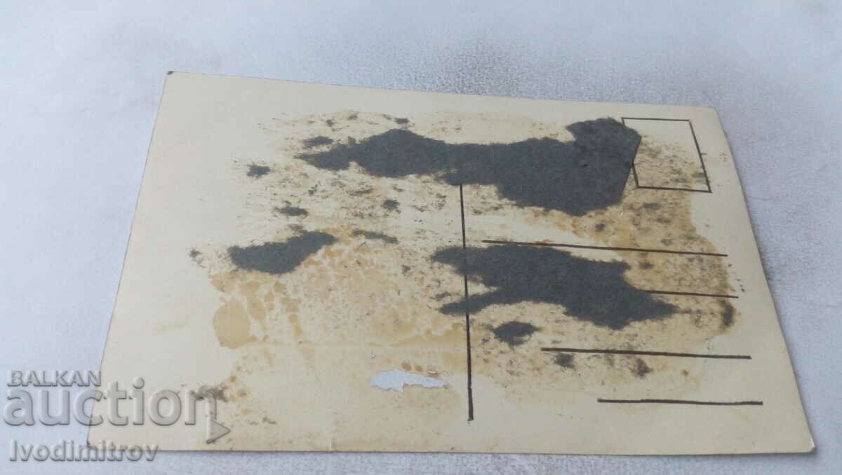 Photo Men and a young girl on a wooden pier in the sea with price 3.45 BGN | € 1.76 Photo Men and a young girl on a wooden pier in the sea with price 3.45 BGN | € 1.76