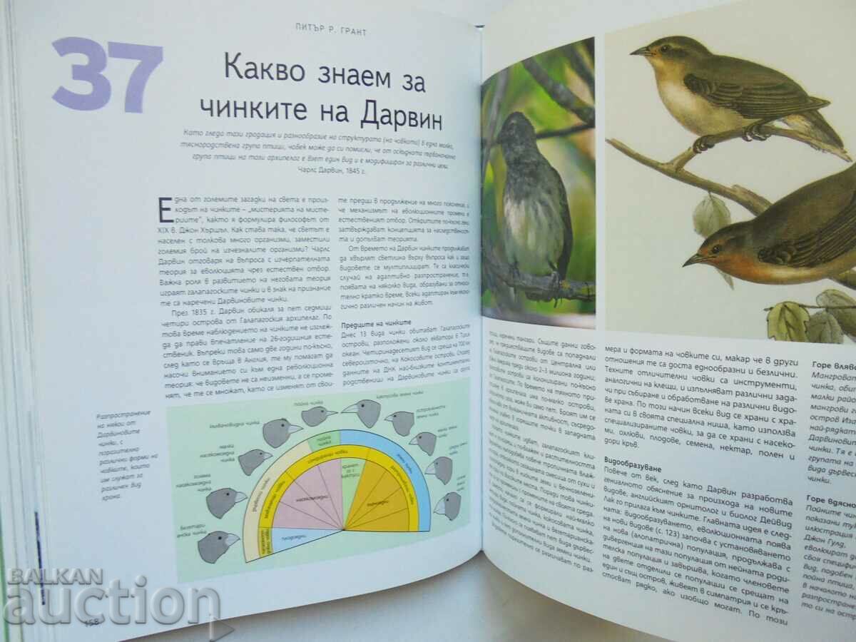 Auction  The Seventy Great Mysteries of the Wild 2009