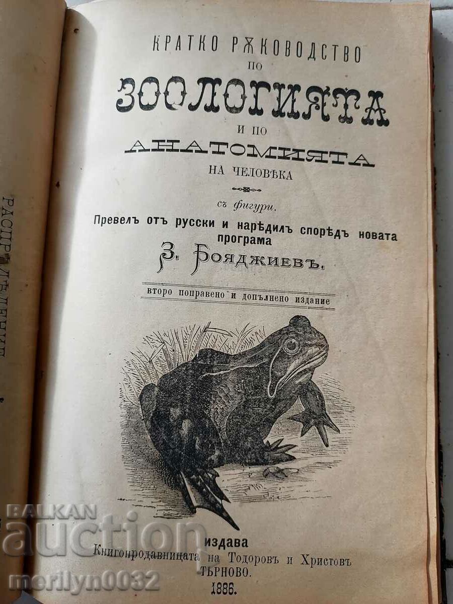 Auction An old book Auction An old book