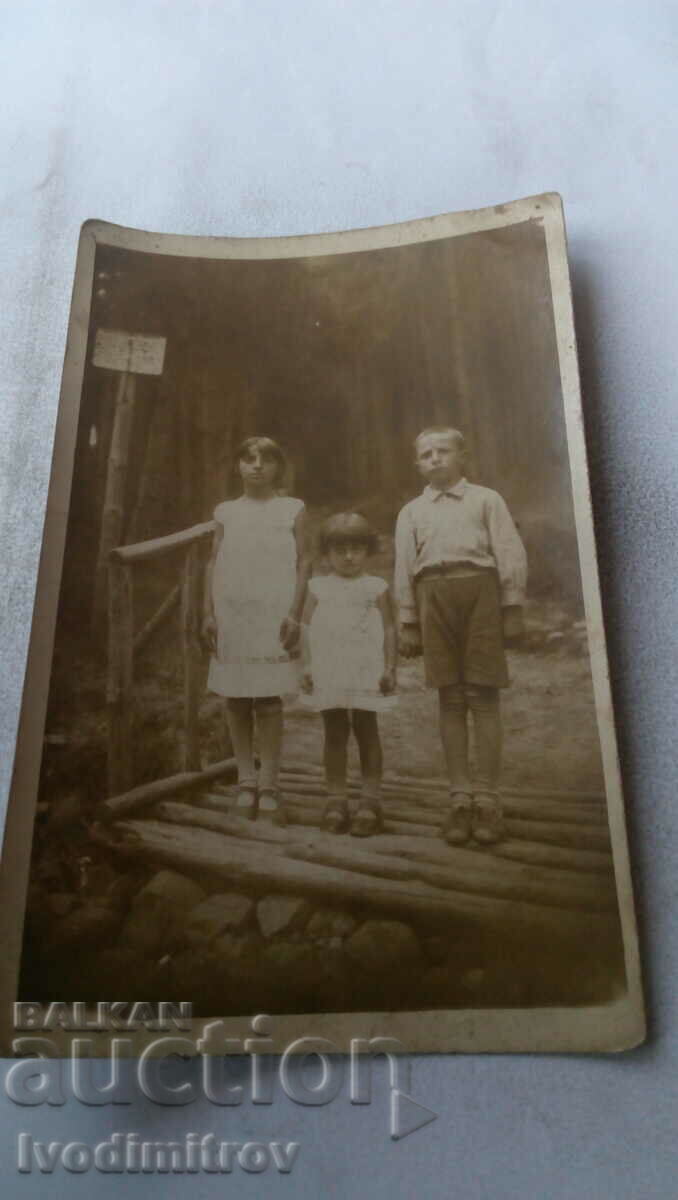 Photo A boy and two girls on a wooden bridge in the forest 1935