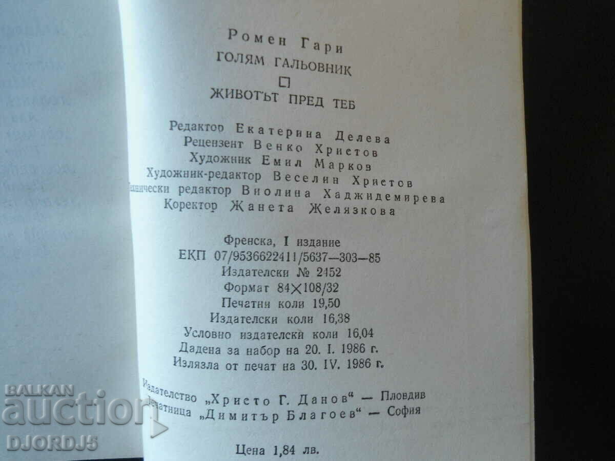 Auction A big cuddler, Life Ahead of You, Romain Garry Auction A big cuddler, Life Ahead of You, Romain Garry