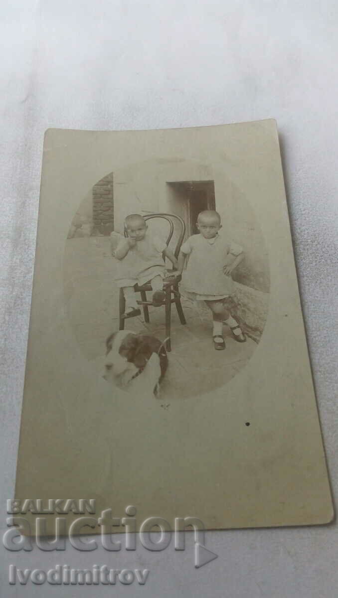 Photo Two children and a dog near a cooperative
