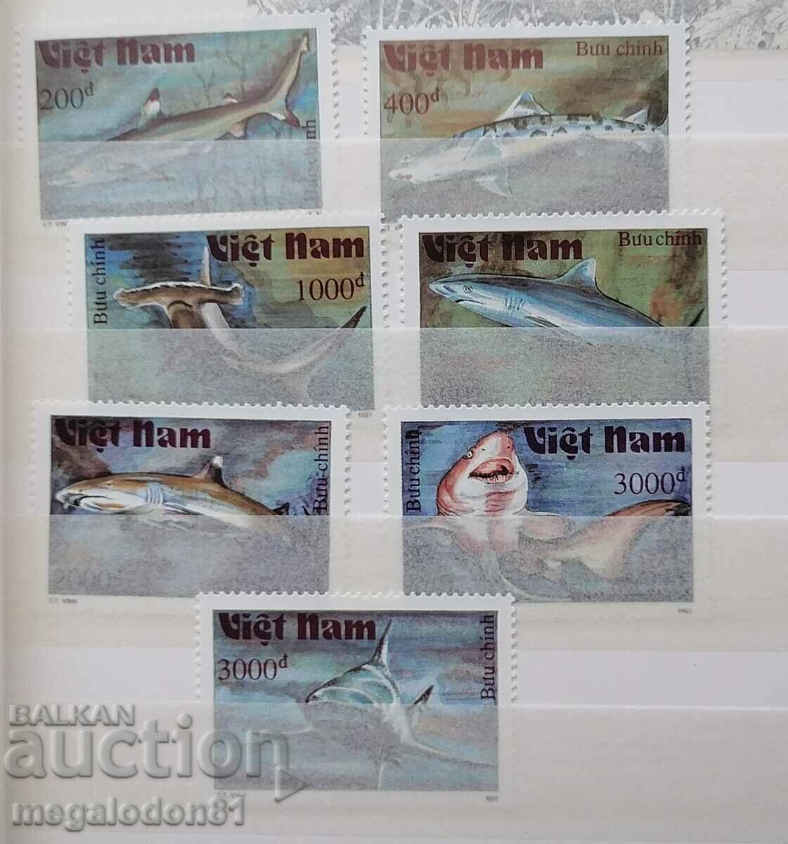 Vietnam - sharks