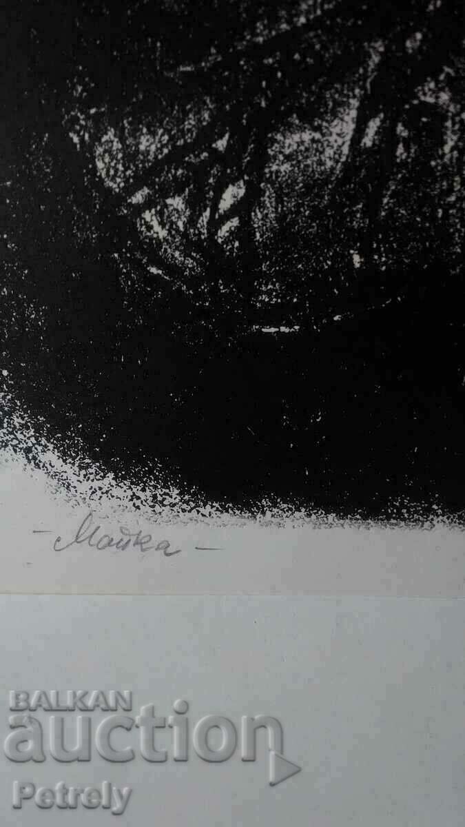 Picture by N. Rizov with price 50.00 BGN | € 25.56