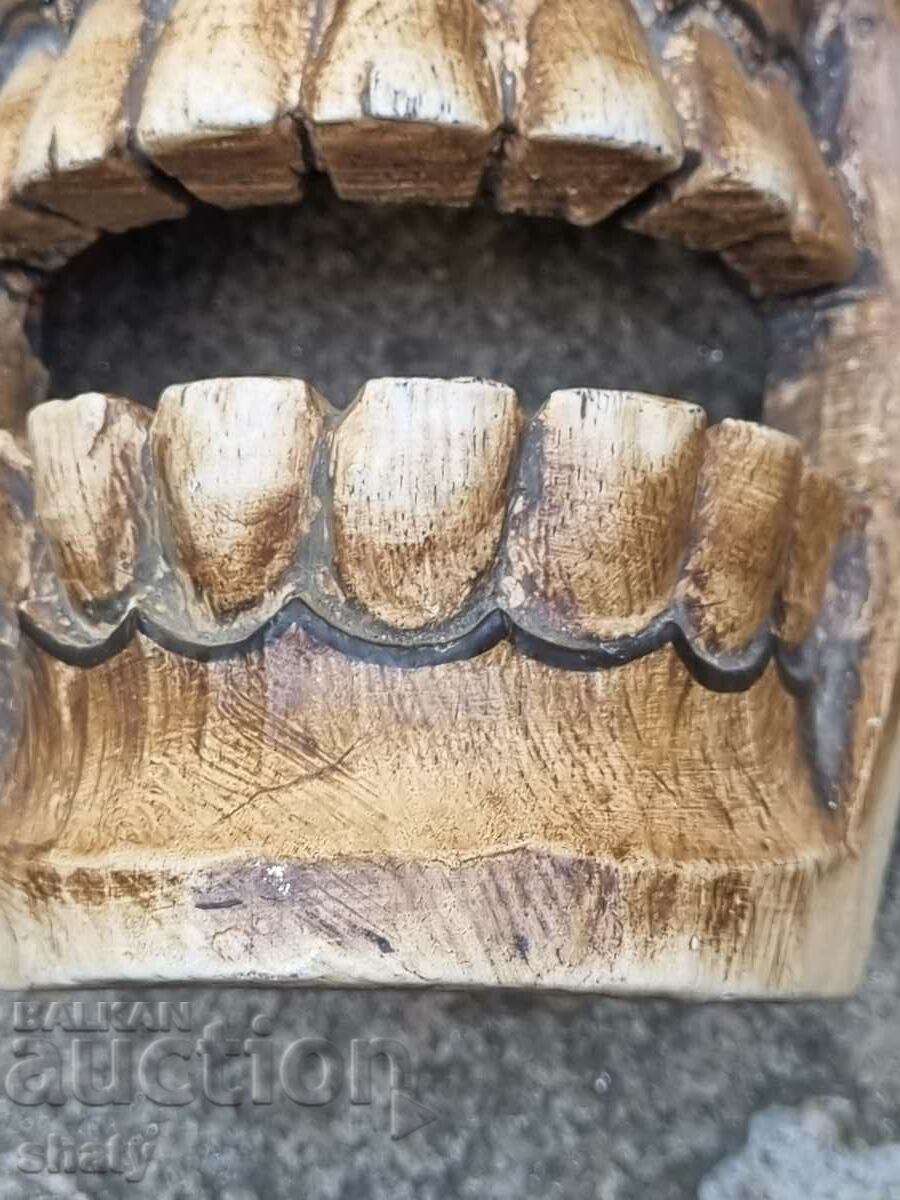 Delivery of Wooden skull with bones. Pirate crest Delivery of Wooden skull with bones. Pirate crest