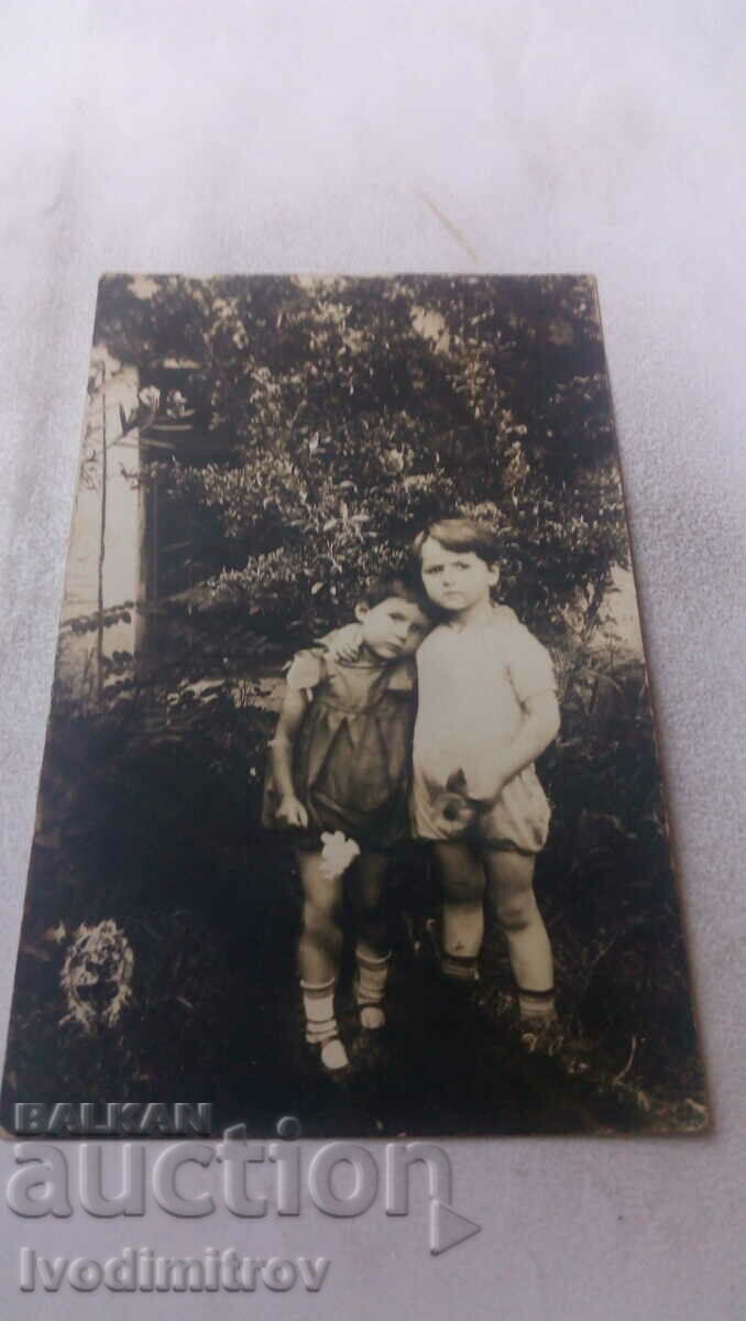 Photo Two little boys in the yard of their house