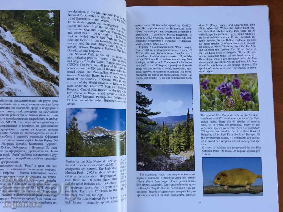 КНИГА-КАТАЛОГ ЛУКС СНИМКИ ФЛОРА ФАУНА БЪЛГАРИЯ НАЦИОНАЛНИ ПА с цена 32.00 лв. | € 16.36 КНИГА-КАТАЛОГ ЛУКС СНИМКИ ФЛОРА ФАУНА БЪЛГАРИЯ НАЦИОНАЛНИ ПА с цена 32.00 лв. | € 16.36