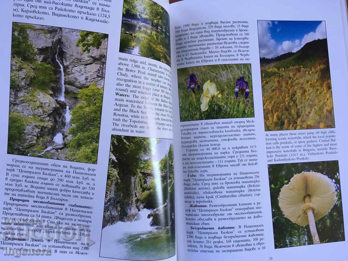 КНИГА-КАТАЛОГ ЛУКС СНИМКИ ФЛОРА ФАУНА БЪЛГАРИЯ НАЦИОНАЛНИ ПА - 5 КНИГА-КАТАЛОГ ЛУКС СНИМКИ ФЛОРА ФАУНА БЪЛГАРИЯ НАЦИОНАЛНИ ПА - 5