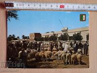Carte poștală Algeria Carte poștală Algeria