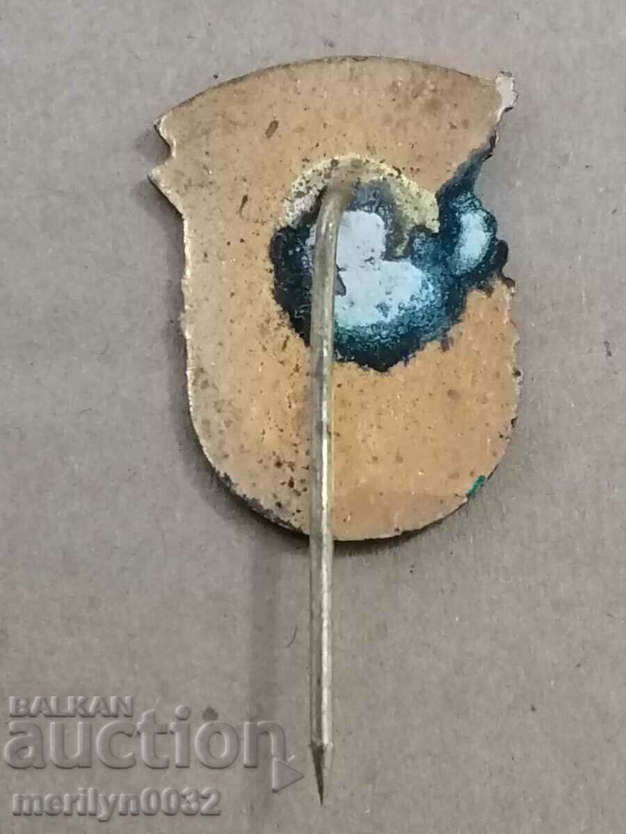 Delivery of People's Sagittarius Medal Badge Badge Delivery of People's Sagittarius Medal Badge Badge