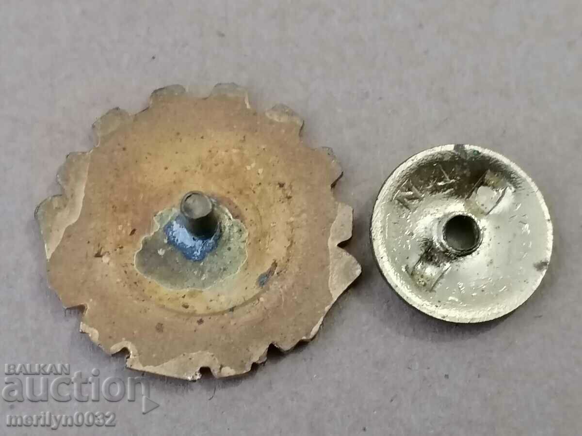 Delivery of Badge Merit of the M. of Energy medal badge Delivery of Badge Merit of the M. of Energy medal badge