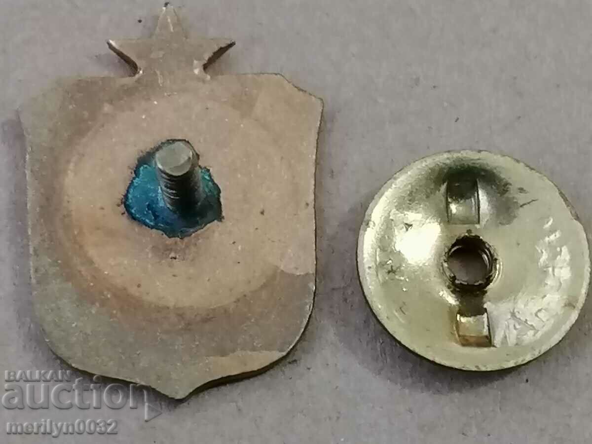 Badge Sanitary Warden Medal Badge - 5 Badge Sanitary Warden Medal Badge - 5